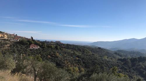 Φυσικό τοπίο κοντά σε αυτό το κατάλυμα σε φάρμα