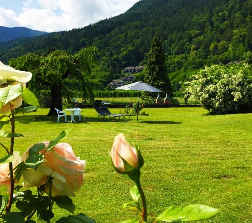 a green field with a picnic table and a flower at Paradiso sul lago in Calceranica al Lago