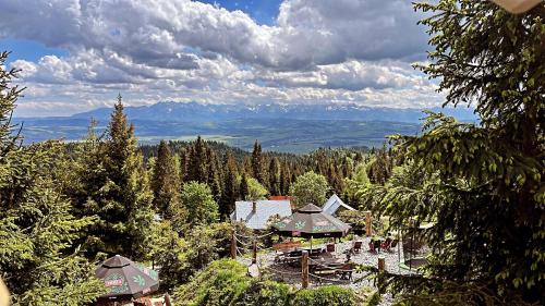 a view of a resort with trees and mountains in the background at Domek w Górach- Bacówka u Dudka in Nowy Targ