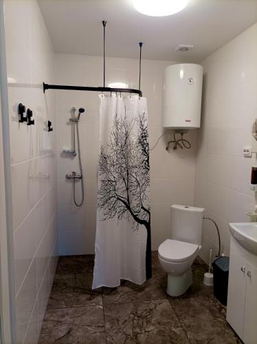 a bathroom with a shower curtain and a toilet at BALTĀ māja in Aglona