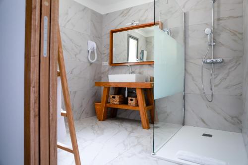 a bathroom with a shower and a sink and a mirror at U San Daniellu villas et chambres in Farinole