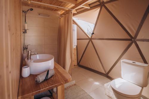 a bathroom with a sink and a toilet at VasaRojaus Kupolai in Birštonas