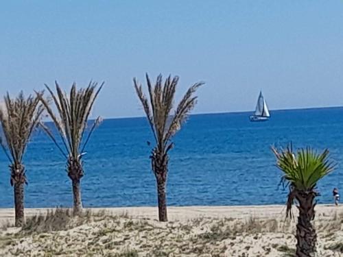 a group of palm trees on a beach with a sail boat at T3 avec magnifique vue mer in Le Barcarès