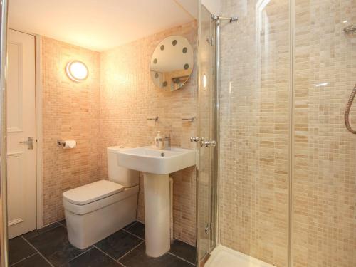 uma casa de banho com um WC, um lavatório e um chuveiro em Flat 1, 32 Newcomen Road em Dartmouth