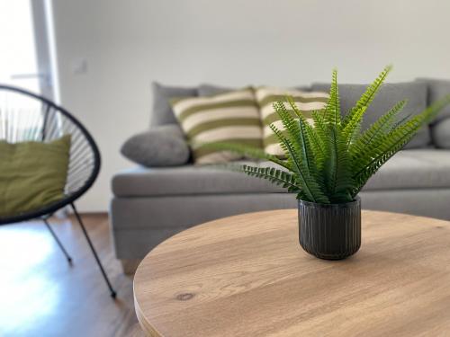 Sunny side Apartment