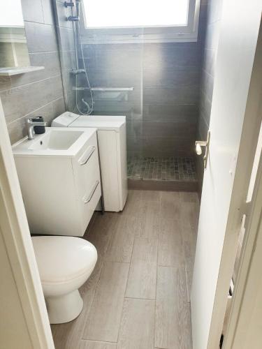 une petite salle de bain avec toilettes et lavabo dans l'établissement Beautiful T1 with sea view, à Nice