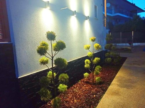 a row of plants in front of a wall with lights at Bamboo Luxury Studios in Nikiti