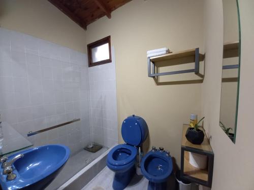 een badkamer met een blauw toilet en een wastafel bij Punto Sur-Barlovento -centro Ushuaia in Ushuaia