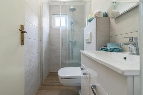 a bathroom with a toilet and a sink and a shower at Apartments Punta in Kruševo