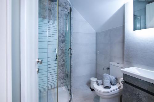 a bathroom with a toilet and a glass shower at Fontana Di Corfu 4 in Corfu Town