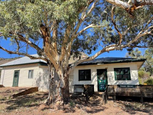 a house with a large tree in front of it at Shearers Quarters - The Dutchmans Stern Conservation Park in Quorn