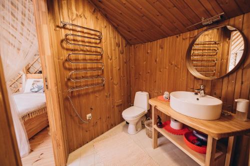a bathroom with a sink and a toilet in a room at VasaRojaus Jurta in Birštonas