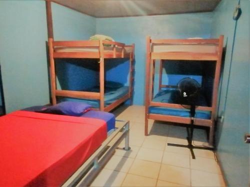 Iguana Surf House – Photos 2