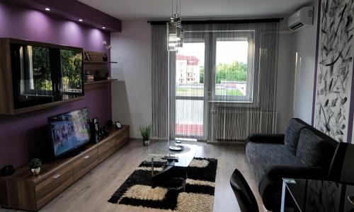 uma sala de estar com um sofá e uma televisão em Nidius Apartment em Debrecen