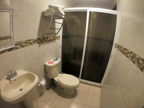 a bathroom with a toilet and a shower and a sink at Posada del Carmen in Zacatecas