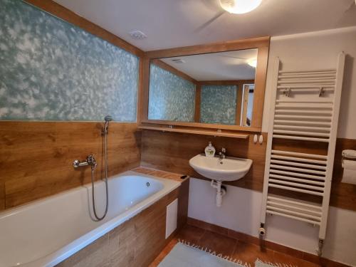 a bathroom with a tub and a sink at Apartmány Krásné zátiší in Krásno