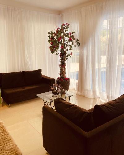 a living room with a couch and a table with a plant at VILLA CRISTAL in Santa Helena