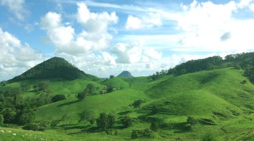 una ladera verde con árboles y nubes en el cielo en Rosecliffe Boutique Farm Cottages, en Pomona