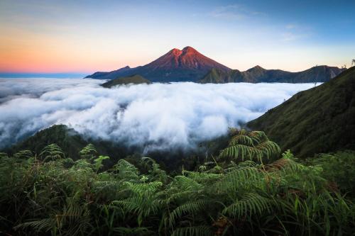 a mountain rising above a sea of clouds at Kurni's Cabin in Sapit