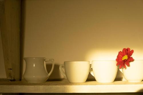 four white cups and a red flower on a shelf at Anatoli in Ambelas