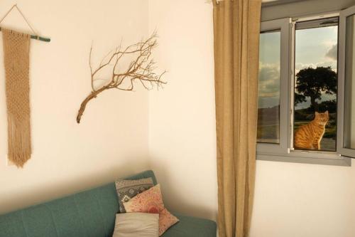 a living room with a green couch and a cat looking out a window at Anatoli in Ambelas