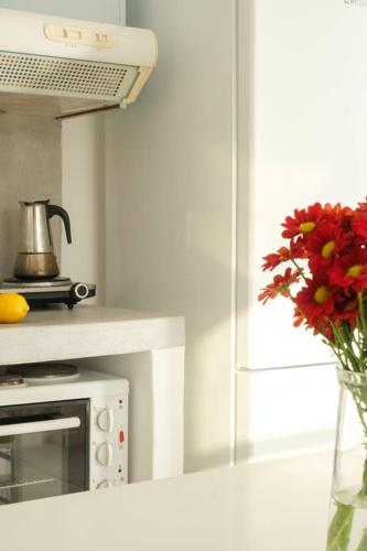 a kitchen with a vase of flowers on a stove at Anatoli in Ambelas
