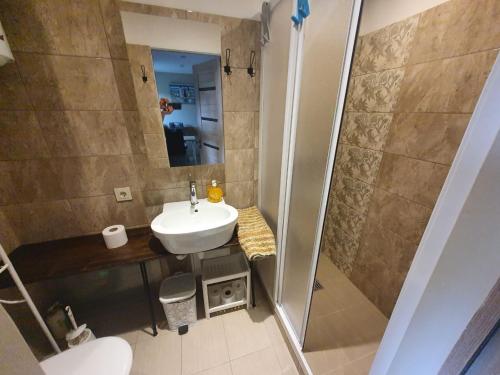 y baño con lavabo y ducha. en Guest house Kajaki-Ragaciems, en Ragaciems