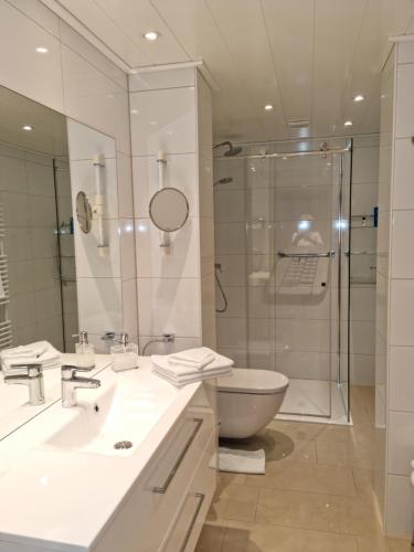 een badkamer met een douche, een wastafel en een toilet bij Hotel Rebstock in Ohlsbach