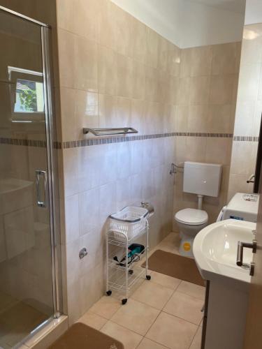 a bathroom with a shower and a toilet and a sink at Gallery for two, near the beach and the center of Jelsa in Jelsa