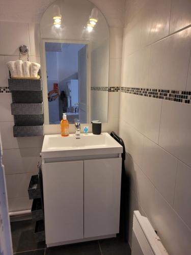 Un baño con un lavabo blanco y un espejo. en Aix-en-Provence Superbe studio centre historique, en Aix-en-Provence