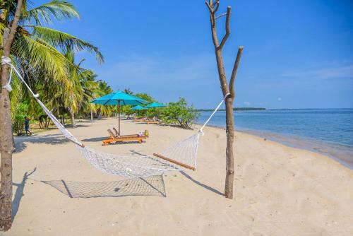 a hammock on a beach with a blue umbrella at Breeze Pasikudah in Pasikuda