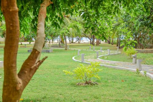 a park with trees and a path in the grass at Breeze Pasikudah in Pasikuda