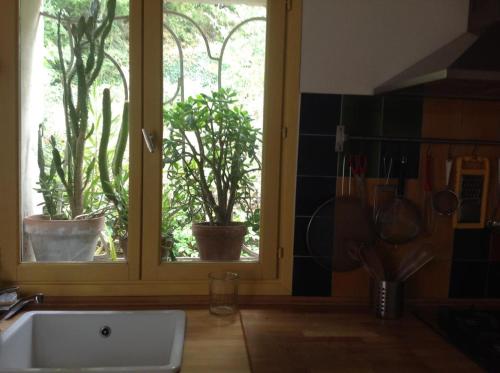 a kitchen with a window with potted plants on a counter at Le gite de l'impassiflore in Méounes-lès-Montrieux