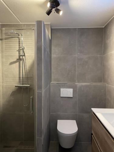 a bathroom with a shower and a toilet and a sink at Puur Texels 6 in De Koog