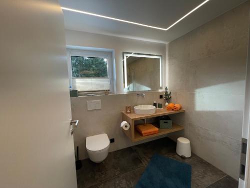 a bathroom with a sink and a toilet and a mirror at Koflers Ferienwohnungen in Oberperfuss
