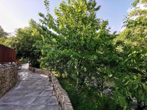Zahrada ubytování VILLA MAREL
