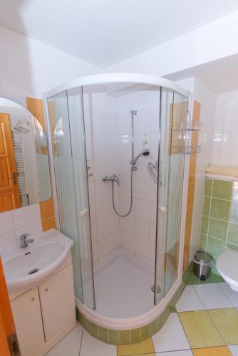 a bathroom with a shower and a sink at Apartments U Jezera Černá in Černá v Pošumaví
