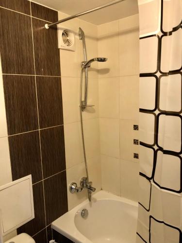 a bathroom with a shower and a tub and a toilet at Smart Stay Apartment in Valmiera