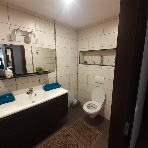 a bathroom with a sink and a toilet and a mirror at Jaukus butas Druskininkuose in Druskininkai
