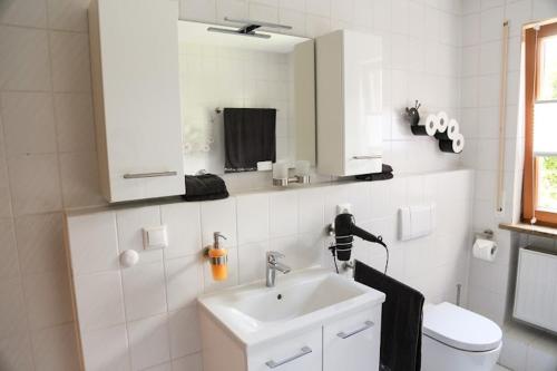 a bathroom with a sink and a toilet and a mirror at Ferienwohnung Zur Wolfskehln in Viereth-Trunstadt