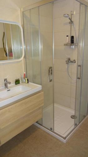 een badkamer met een douche, een wastafel en een spiegel bij APP Nina Portoroz in Portorož