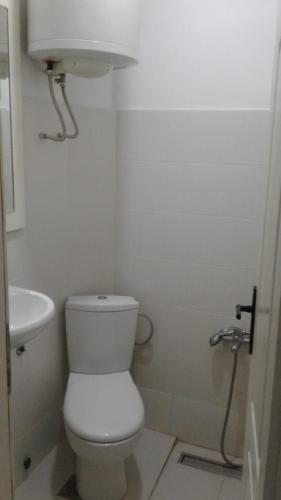 Baño blanco con aseo y lavamanos en Namesten apartman na dan, en Voždivac
