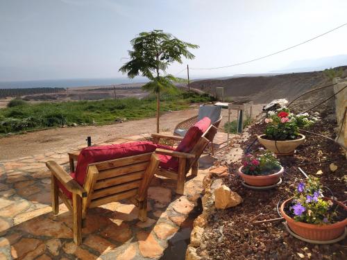 un banco de madera sentado junto a algunas flores y plantas en Dead sea families unit, en Ovnat