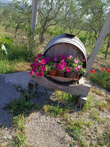 a wooden boat filled with flowers on the ground at Agriturismo Macchia dei briganti - b&b in Montefalcione