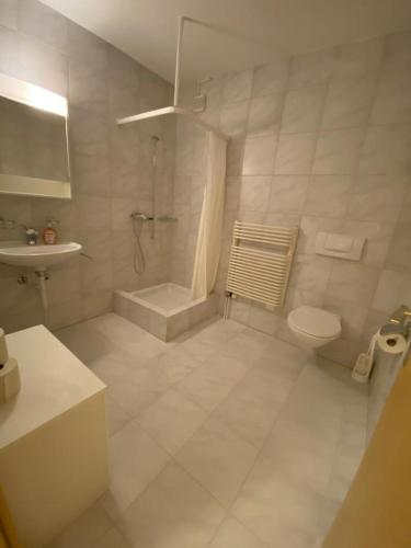 a bathroom with a toilet and a shower and a sink at SKY Rooms, Mountainous View in Saas