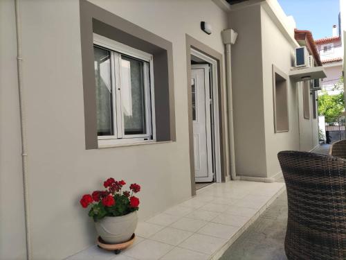 a patio with a plant in a pot next to a building at Wine Reflections Apartment near Nafplio in Néa Kíos