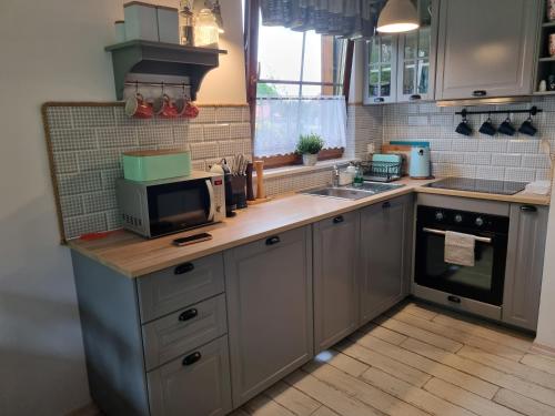 a kitchen with a counter with a microwave and a sink at Domek z basenem nad jeziorem Gwiazdy, Ostoja Bukowo, Kaszuby in Borowy Młyn