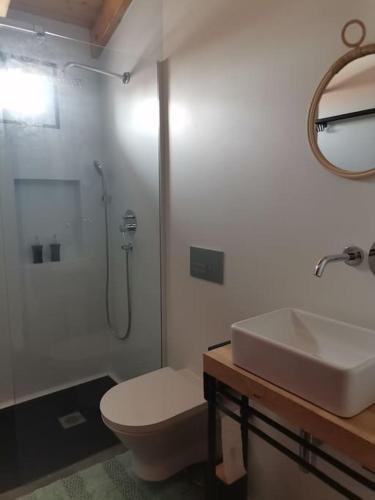 a bathroom with a sink and a toilet and a shower at Paredes com Memória in Vila Ruiva