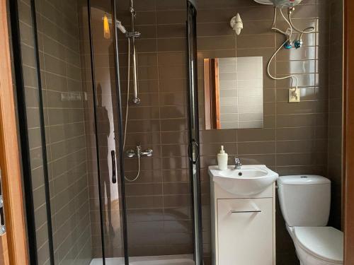 W łazience znajduje się prysznic, toaleta i umywalka. w obiekcie Pod Lipami w mieście Kołczygłowy