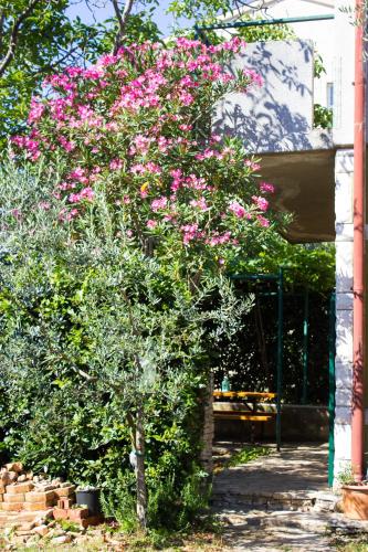 Bilini Private Garden Apartment